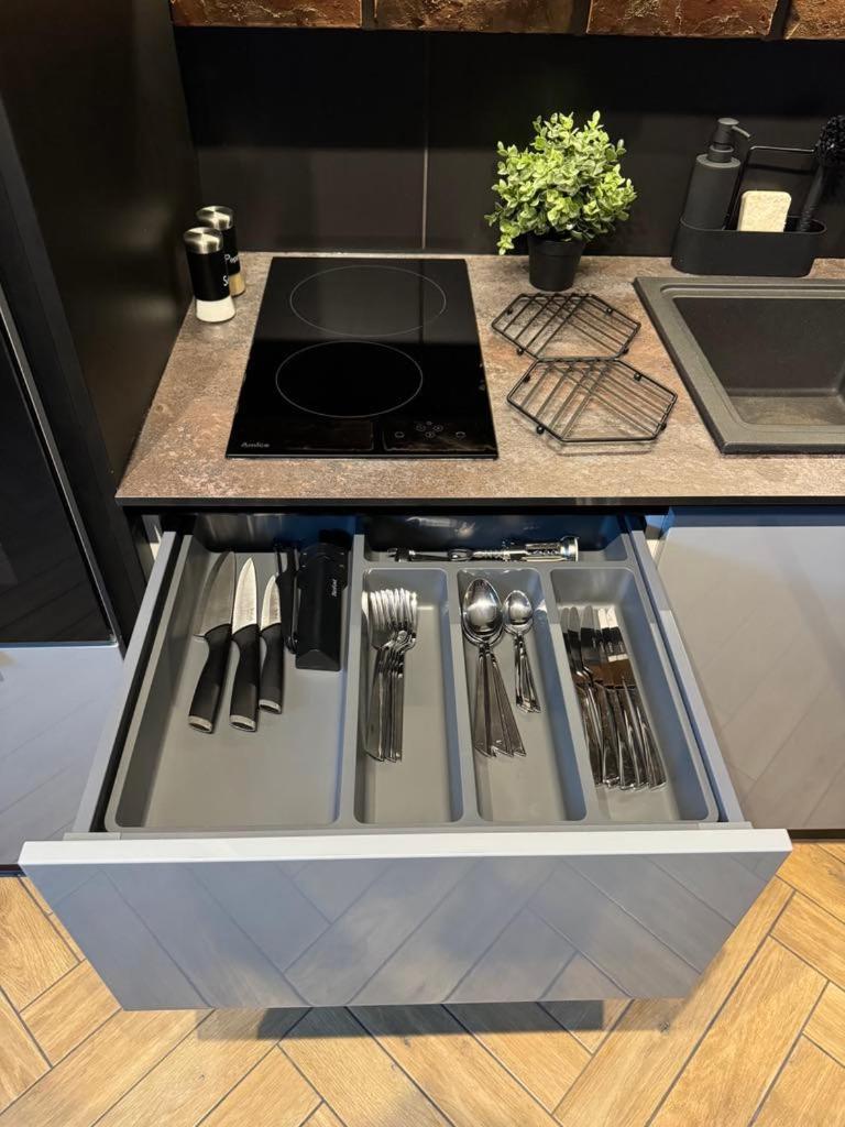 Apartamenty Szary Wilk - Klimatyczne Apartamenty Dla 2 Osob - Blisko Centrum -Bezplatny Parking 扎科帕内 外观 照片