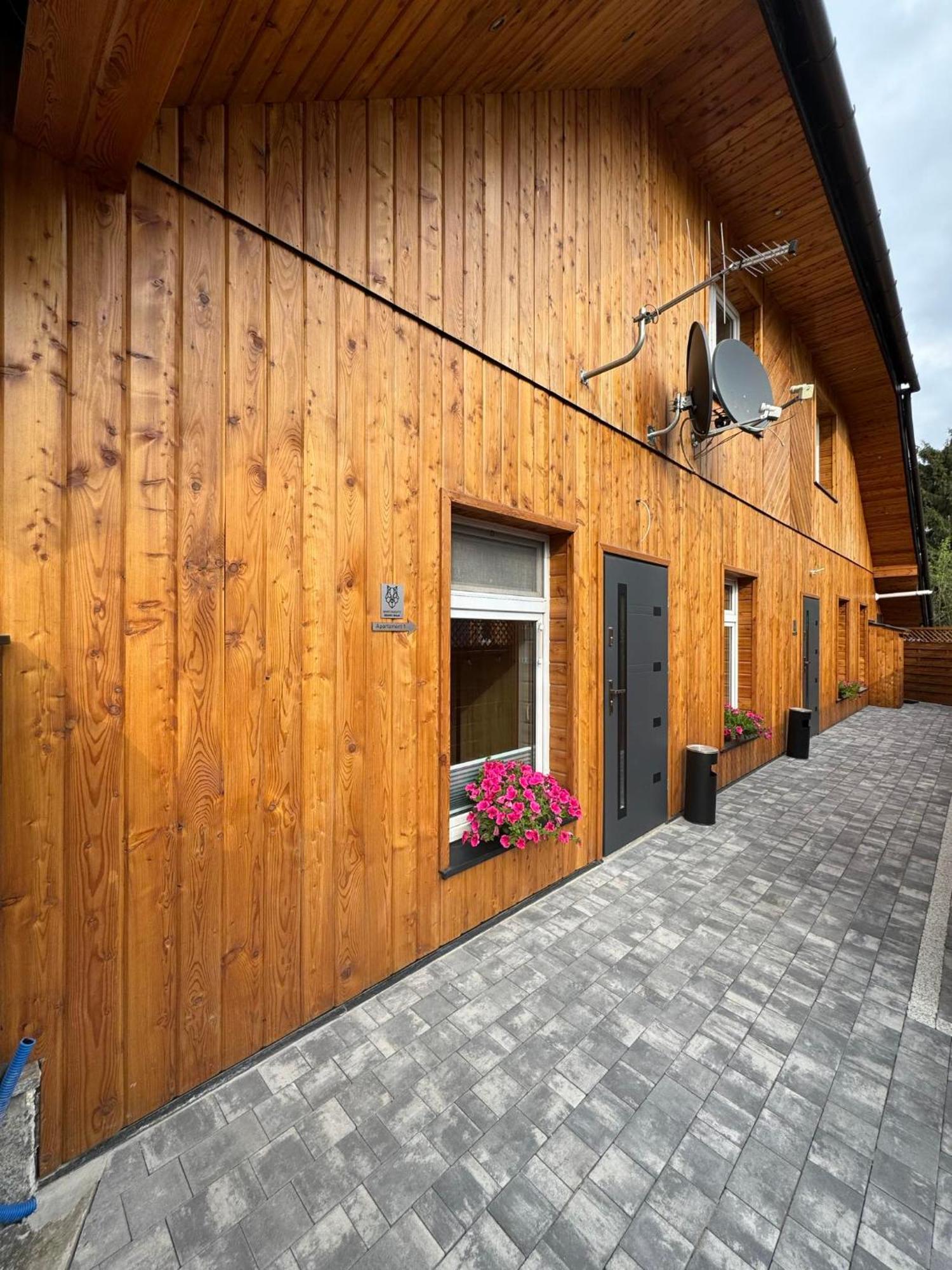 Apartamenty Szary Wilk - Klimatyczne Apartamenty Dla 2 Osob - Blisko Centrum -Bezplatny Parking 扎科帕内 外观 照片